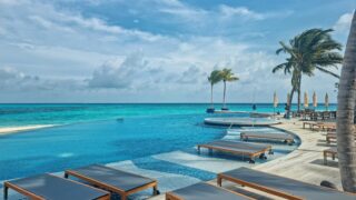 A beach with lounge chairs and palm trees